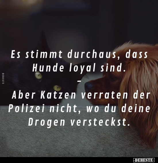 Es stimmt durchaus, dass Hunde loyal sind.. - Lustige Bilder | DEBESTE.de