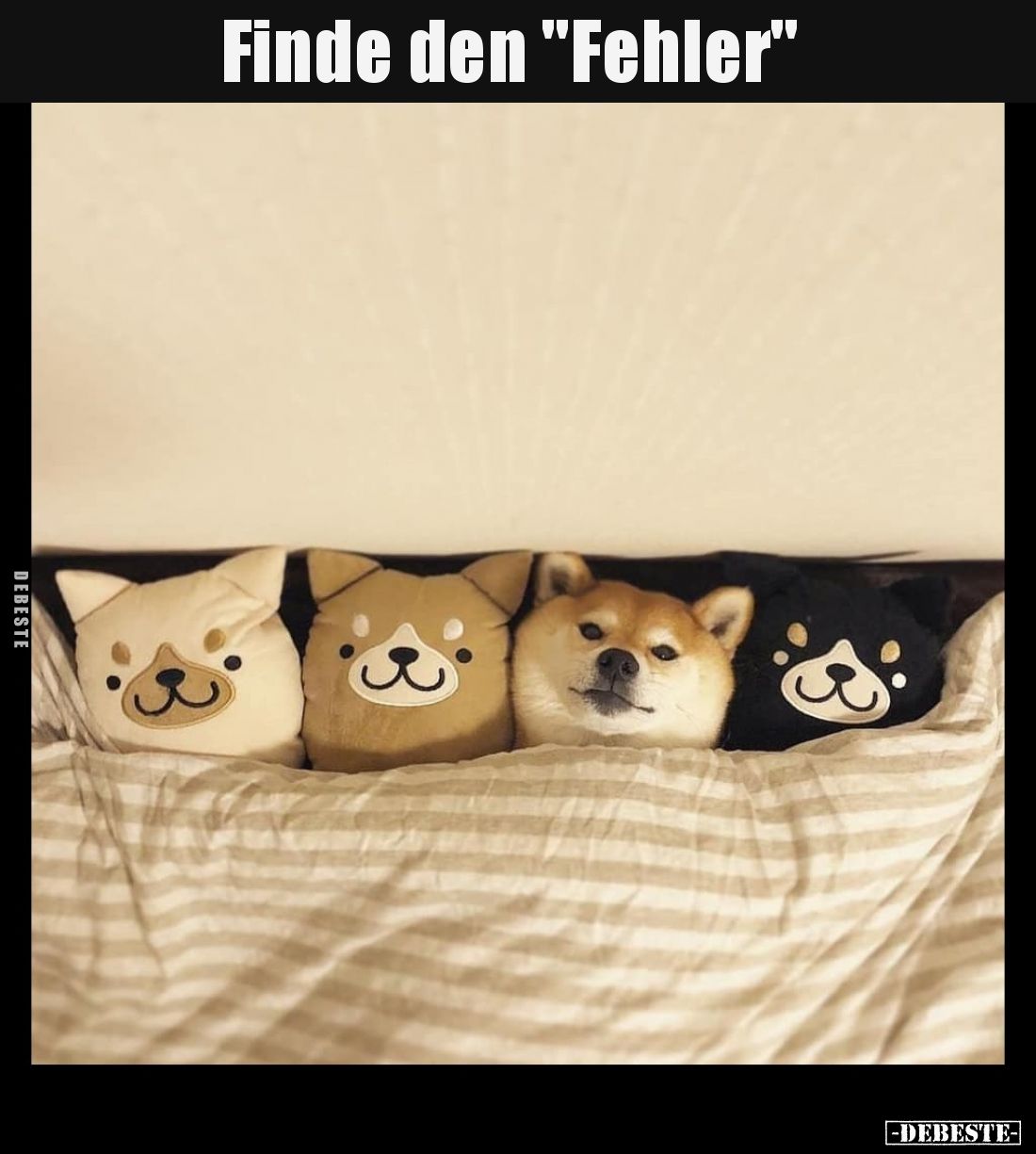 Finde den "Fehler"