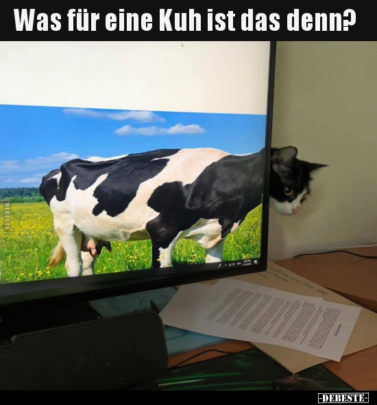 Was für eine Kuh ist das denn?.. - Lustige Bilder | DEBESTE.de