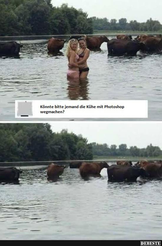 Könnte bitte jemand die Kühe mit Photoshop wegmachen? - Lustige Bilder | DEBESTE.de