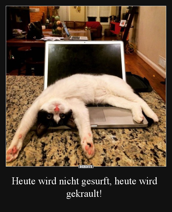 Heute wird nicht gesurft, heute wird gekrault!