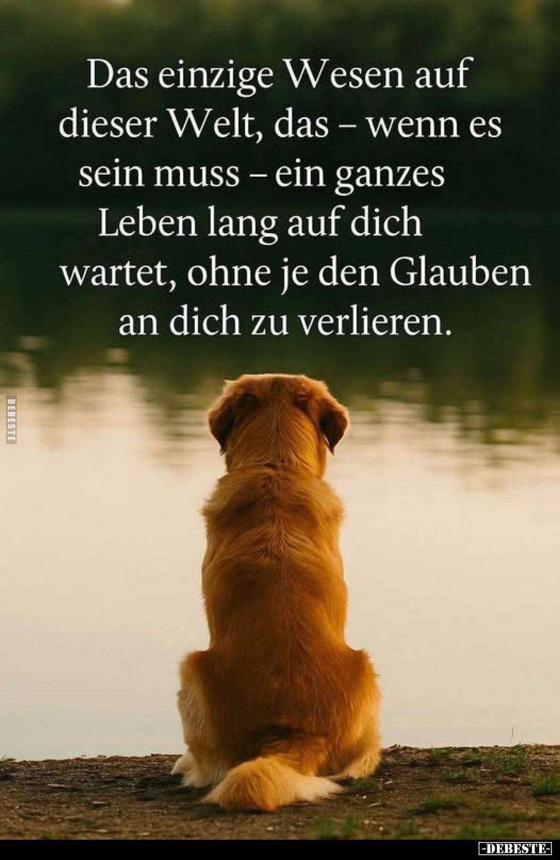 Das einzige Wesen auf dieser Welt, das – wenn es sein muss - ein ganzes Leben lang auf dich wartet, ohne je den Glauben an di...