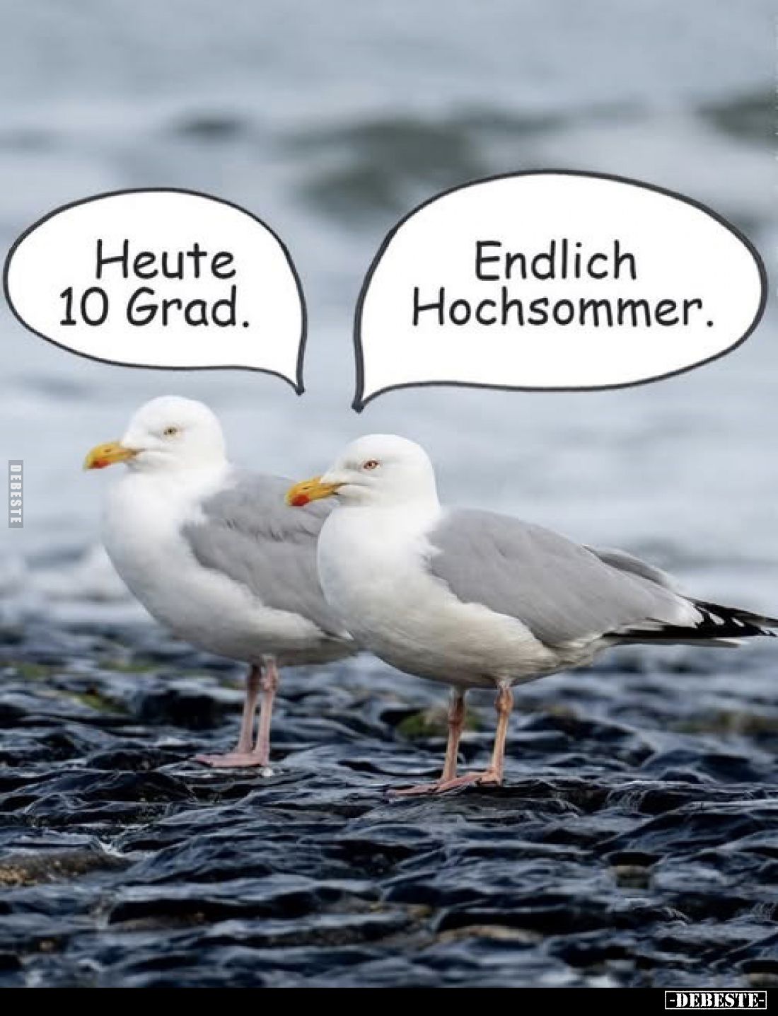 Heute 10 Grad.
-
Endlich Hochsommer.
