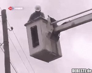 So enden unartige Katzen! - Lustige Bilder | DEBESTE.de