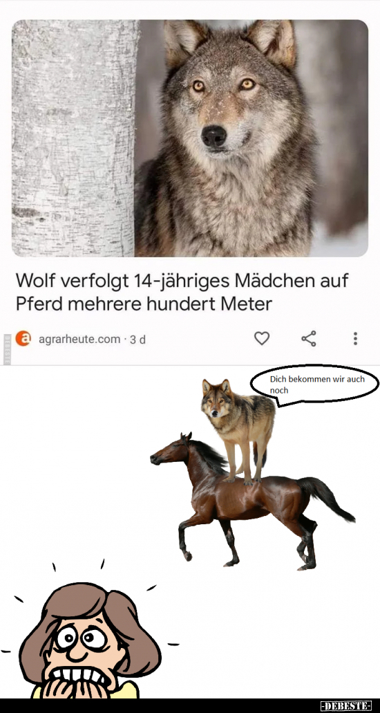 Wolf verfolgt 14-jähriges Mädchen auf Pferd mehrere hundert.. - Lustige Bilder | DEBESTE.de