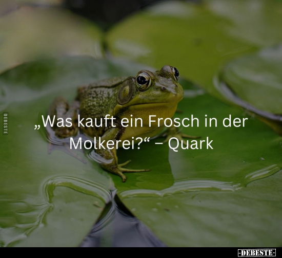 "Was kauft ein Frosch in der Molkerei?" - Quark.. - Lustige Bilder | DEBESTE.de