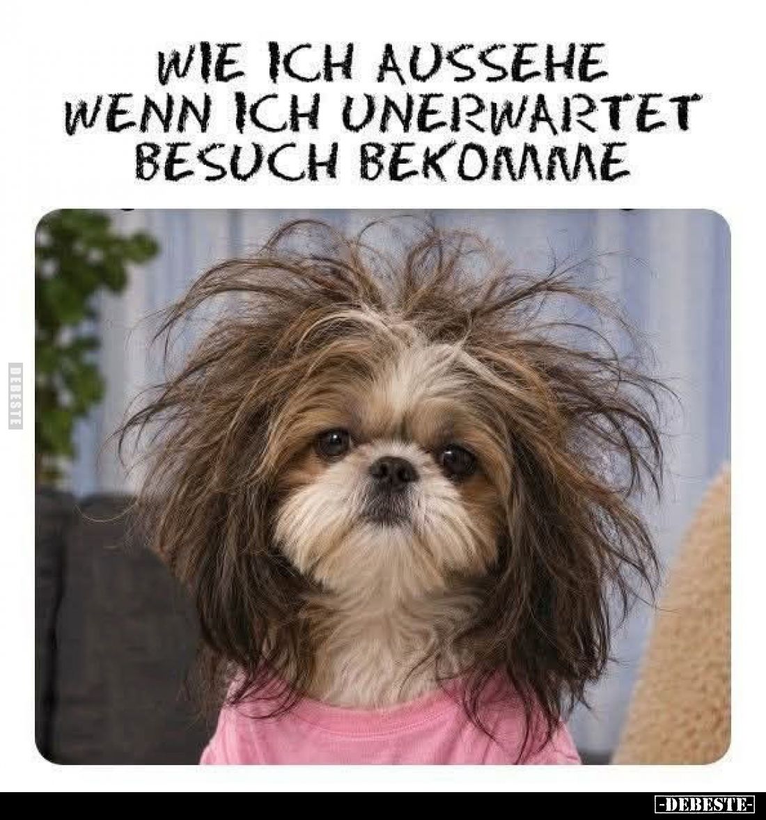 Wie ich aussehe wenn ich unerwartet Besuch bekomme.