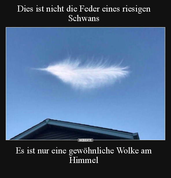Dies ist nicht die Feder eines riesigen Schwans.. - Lustige Bilder | DEBESTE.de