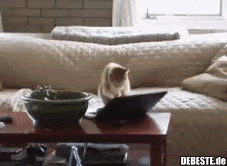 Gleich mal ein kratzerfreies Display bestellen..