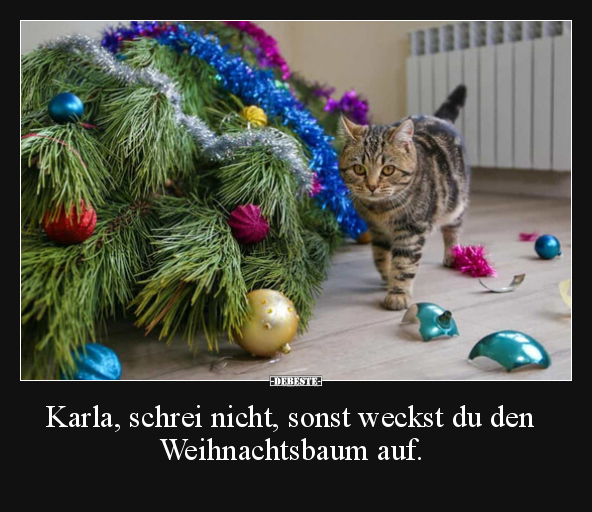 Karla, schrei nicht, sonst weckst du den Weihnachtsbaum.. - Lustige Bilder | DEBESTE.de