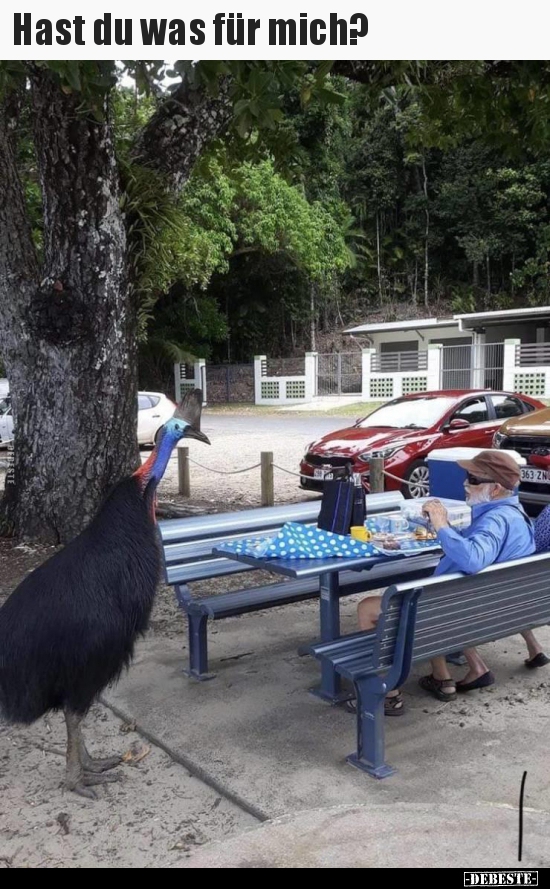 Hast du was für mich?..