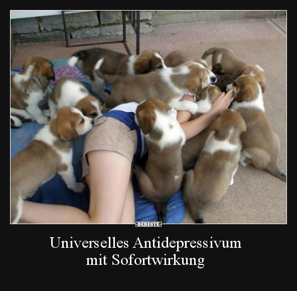 Universelles Antidepressivum mit Sofortwirkung.. - Lustige Bilder | DEBESTE.de