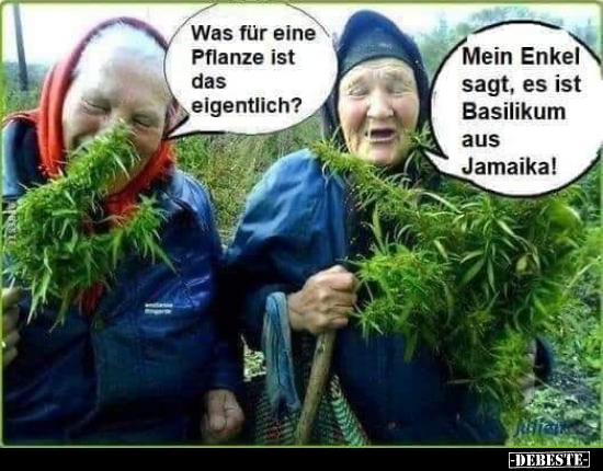 Was für eine Pflanze ist das eigentlich?.. - Lustige Bilder | DEBESTE.de