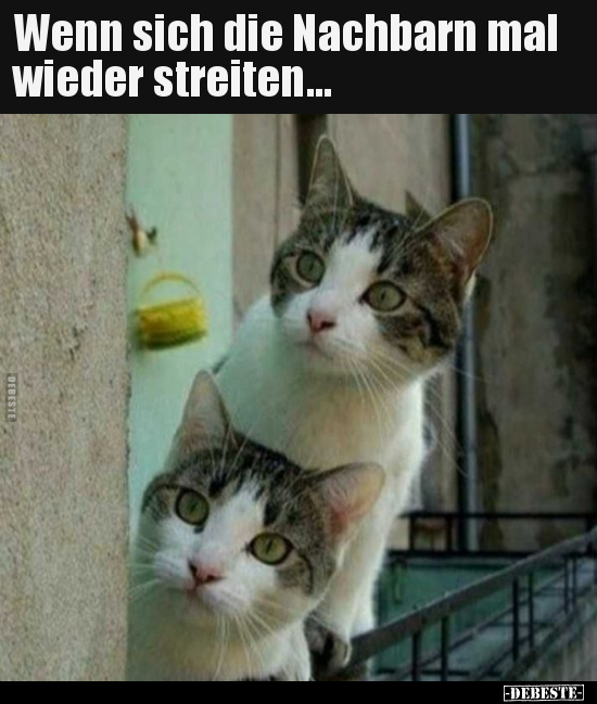Wenn sich die Nachbarn mal wieder streiten... - Lustige Bilder | DEBESTE.de