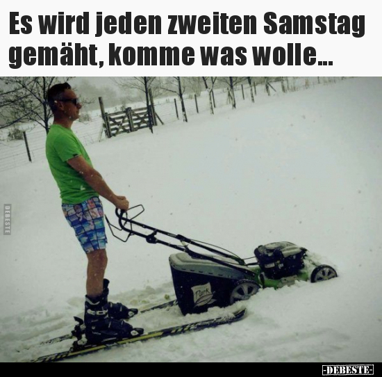 Es wird jeden zweiten Samstag gemäht, komme was..