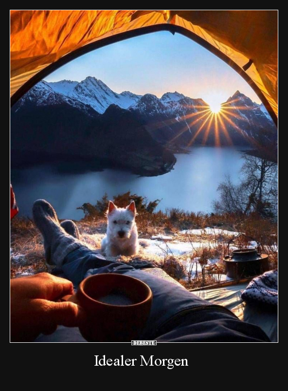 Idealer Morgen..