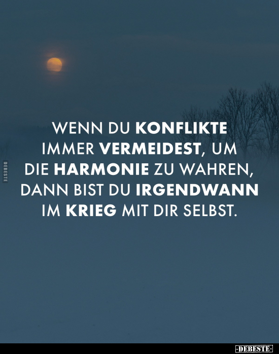 Wenn du Konflikte immer vermeidest, um die Harmonie.. - Lustige Bilder | DEBESTE.de