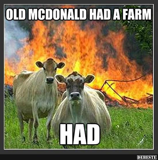 :] - Lustige Bilder | DEBESTE.de