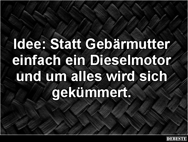 Idee: Statt Gebärmutter
einfach ein Dieselmotor
und um alles wird sich
gekümmert.