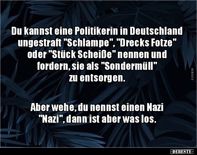 Du kannst eine Politikerin in Deutschland ungestraft.. - Lustige Bilder | DEBESTE.de