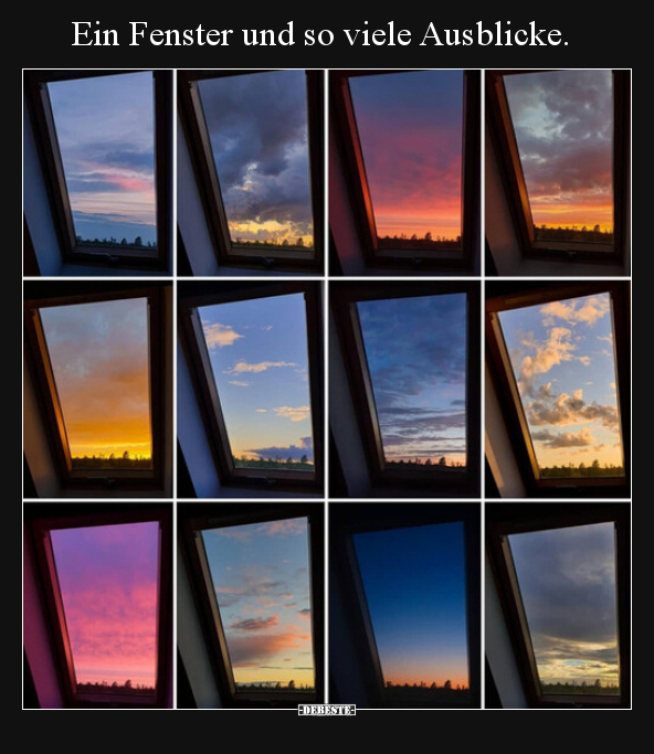 Ein Fenster und so viele Ausblicke... - Lustige Bilder | DEBESTE.de
