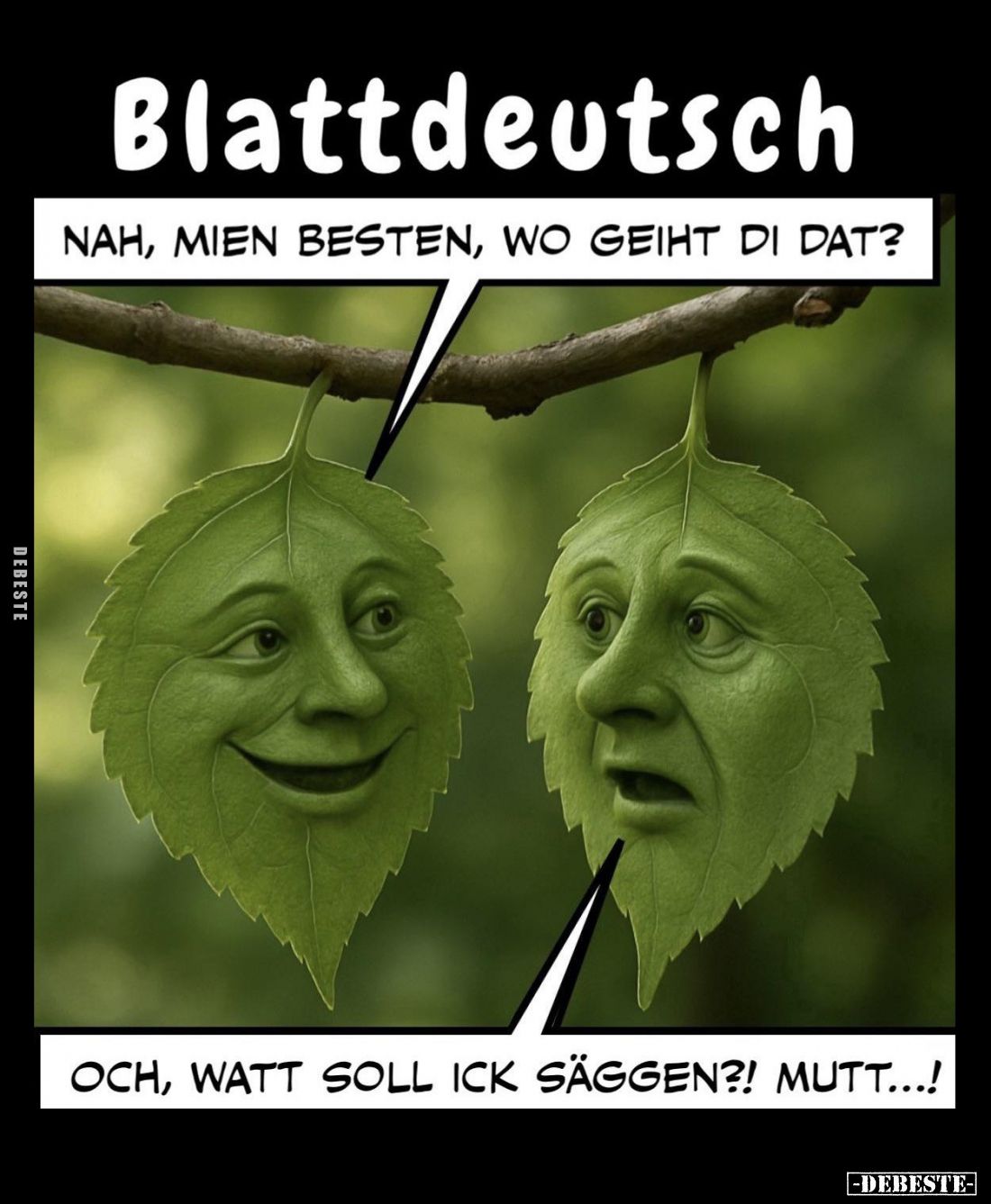 Blattdeutsch:
Nah, mien besten, wo geiht di dat?
-
Och, watt soll ick säggen?! Mutt...!