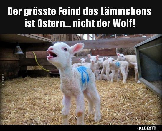 Der grösste Feind des Lämmchens ist Ostern... - Lustige Bilder | DEBESTE.de