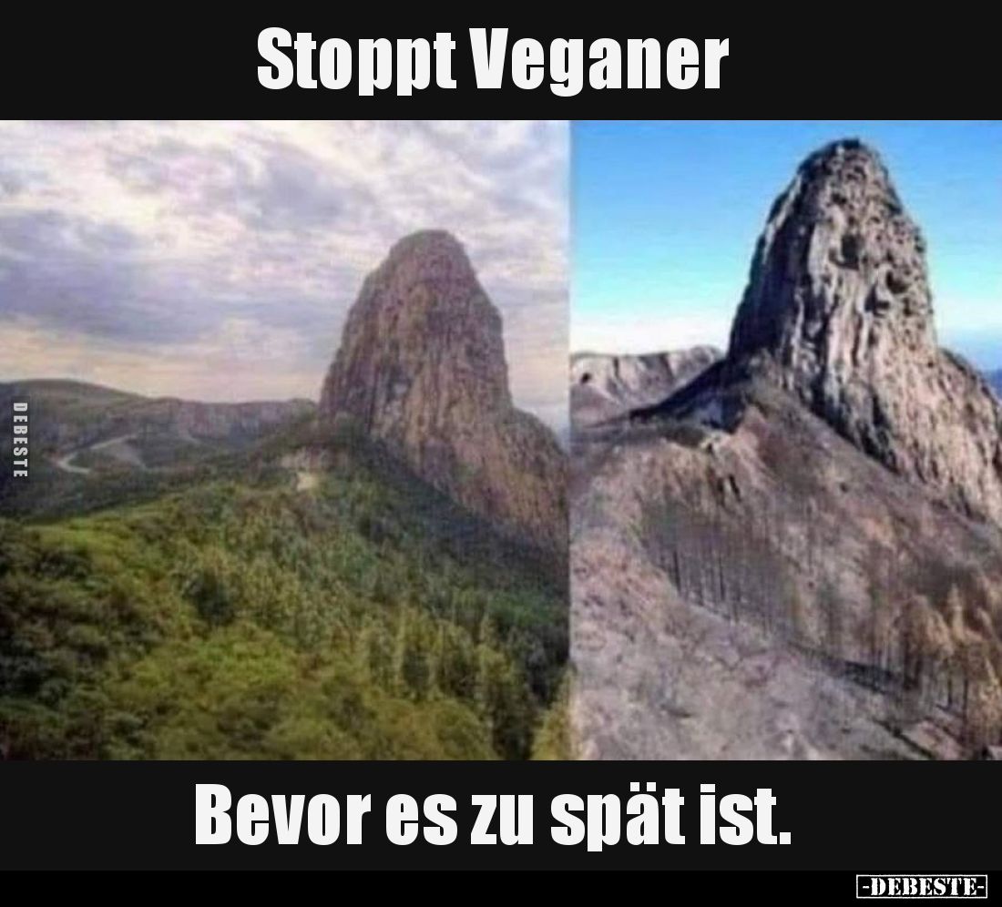 Stoppt Veganer.
Bevor es zu spät ist.