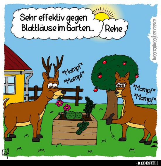 Sehr effektiv gegen Blattläuse im Garten.. - Lustige Bilder | DEBESTE.de