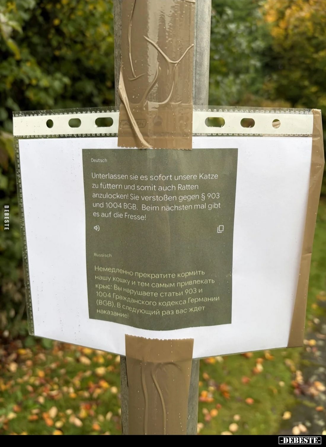 Deutsch.
Unterlassen Sie es sofort unsere Katze zu füttern und somit auch Ratten anzulocken! Sie verstoßen gegen § 903 und...
