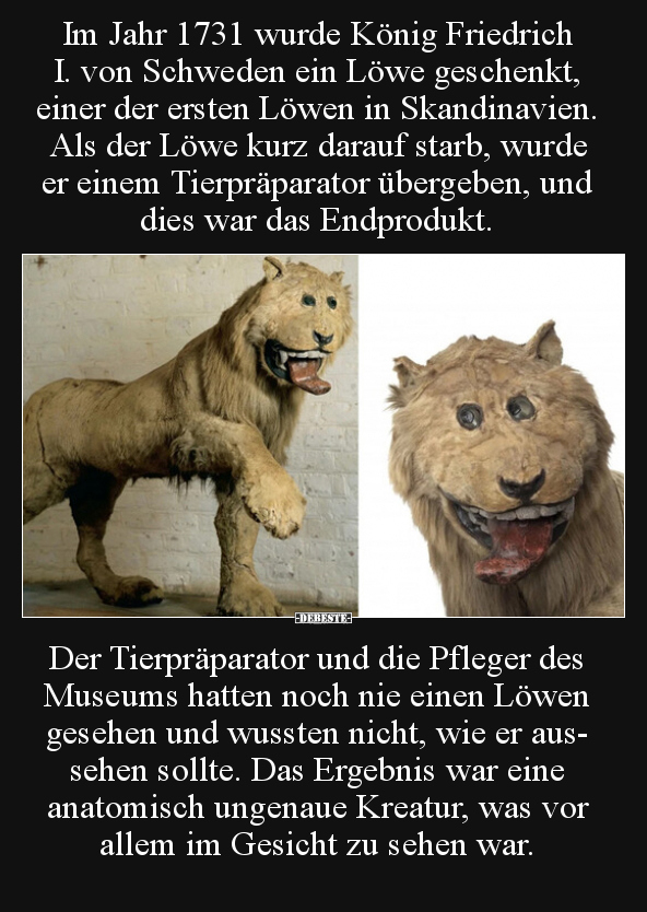Im Jahr 1731 wurde König Friedrich I. von Schweden ein Löwe.. - Lustige Bilder | DEBESTE.de