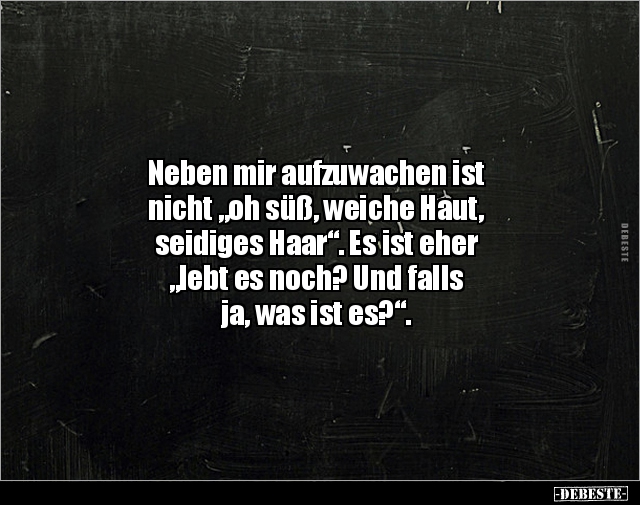 Neben mir aufzuwachen ist nicht "oh süß, weiche Haut.." - Lustige Bilder | DEBESTE.de