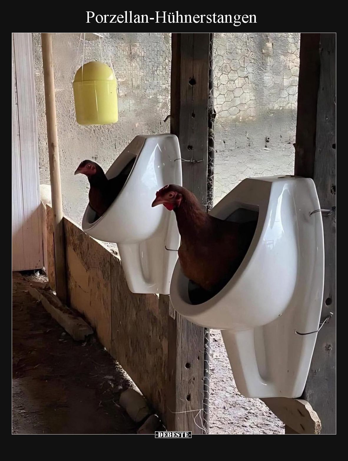 Porzellan-Hühnerstangen