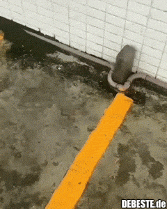 Der heutige Gewinner von "Das ist nicht mein Job"..