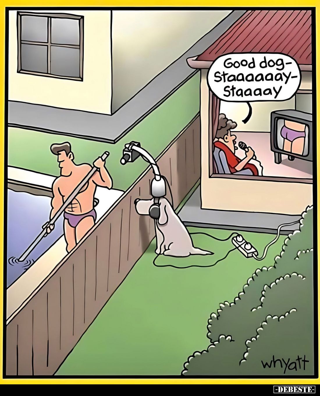 Good dog - Staaaaaay - Staaaay.