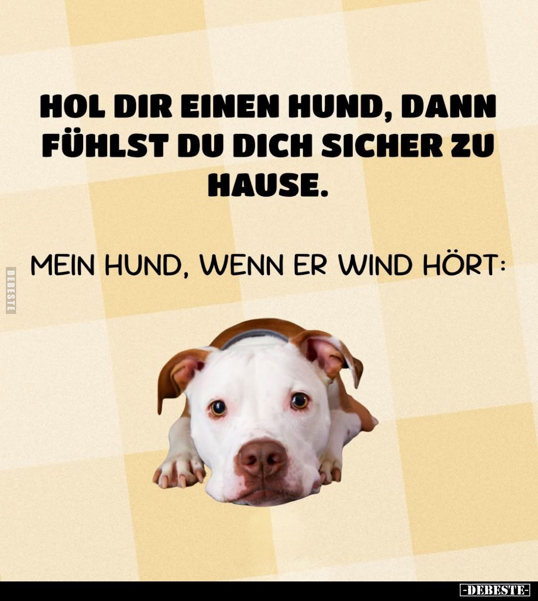 Hol dir einen Hund, dann fühlst du dich sicher zu Hause.
Mein Hund, wenn er Wind hört:
