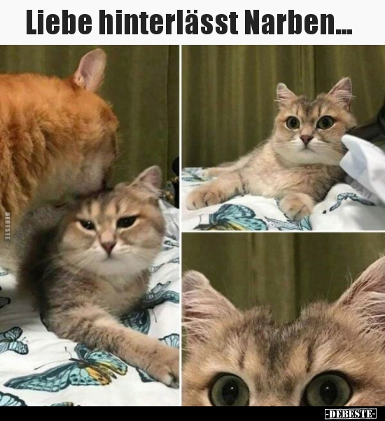 Liebe hinterlässt Narben...