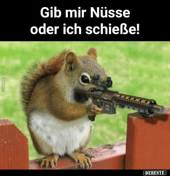 Gib mir Nüsse oder ich schieße! - Lustige Bilder | DEBESTE.de