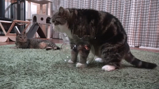 Ich will da aber rein... :-)