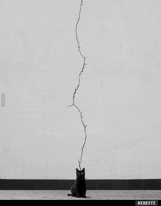  - Lustige Bilder | DEBESTE.de