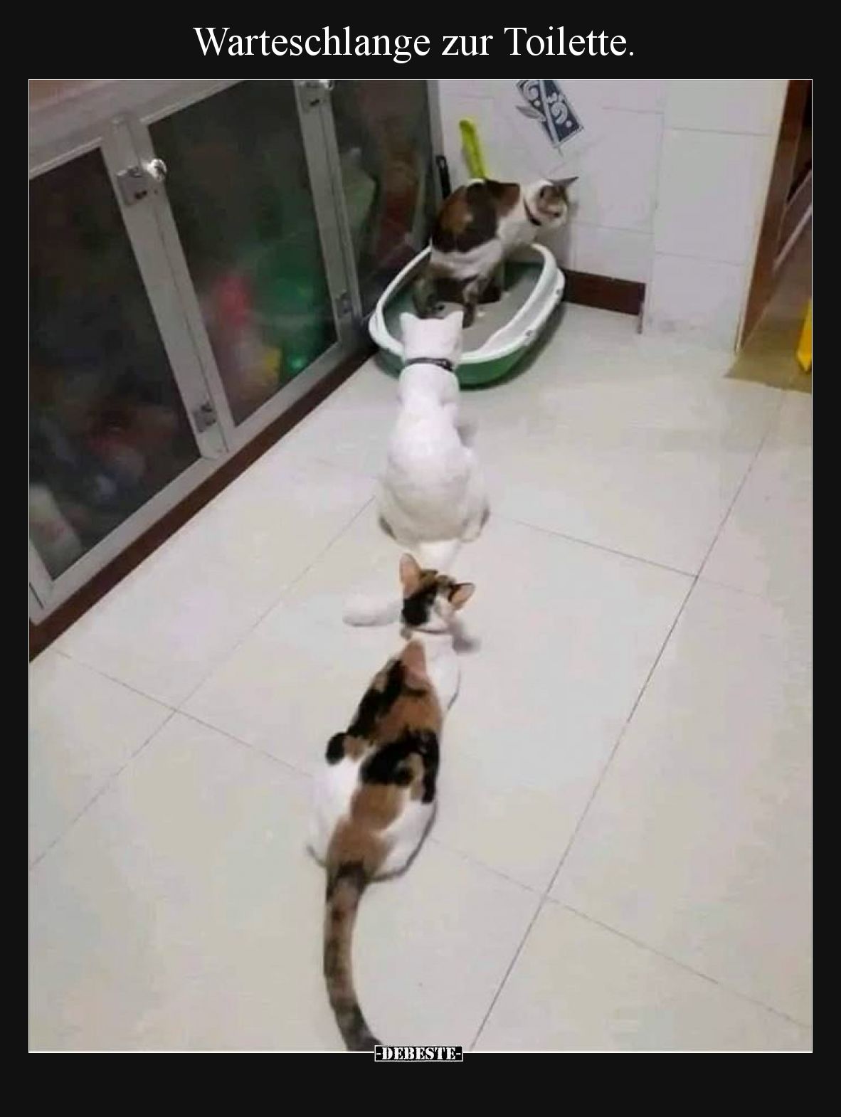 Warteschlange zur Toilette.