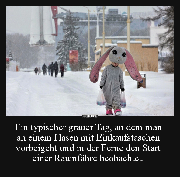Ein typischer grauer Tag, an dem man an einem Hasen mit.. - Lustige Bilder | DEBESTE.de