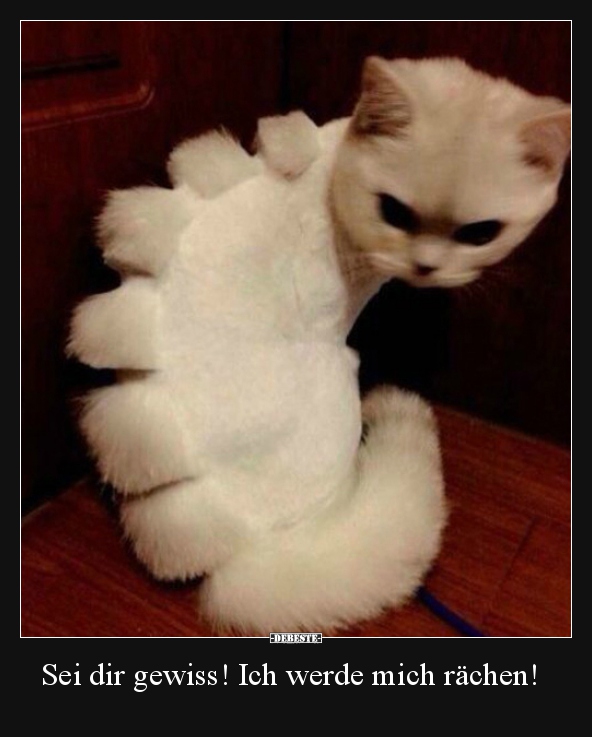 Sei dir gewiss! Ich werde mich rächen!..