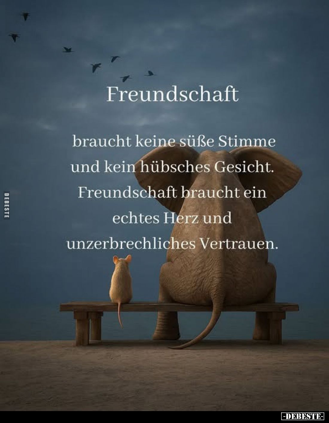 Freundschaft
braucht keine süße Stimme und kein hübsches Gesicht.
Freundschaft braucht ein echtes Herz und unzerbrechliches...