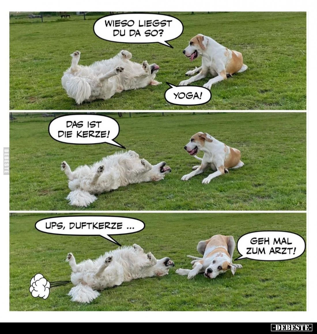 Wieso liegst du da so?... - Lustige Bilder | DEBESTE.de