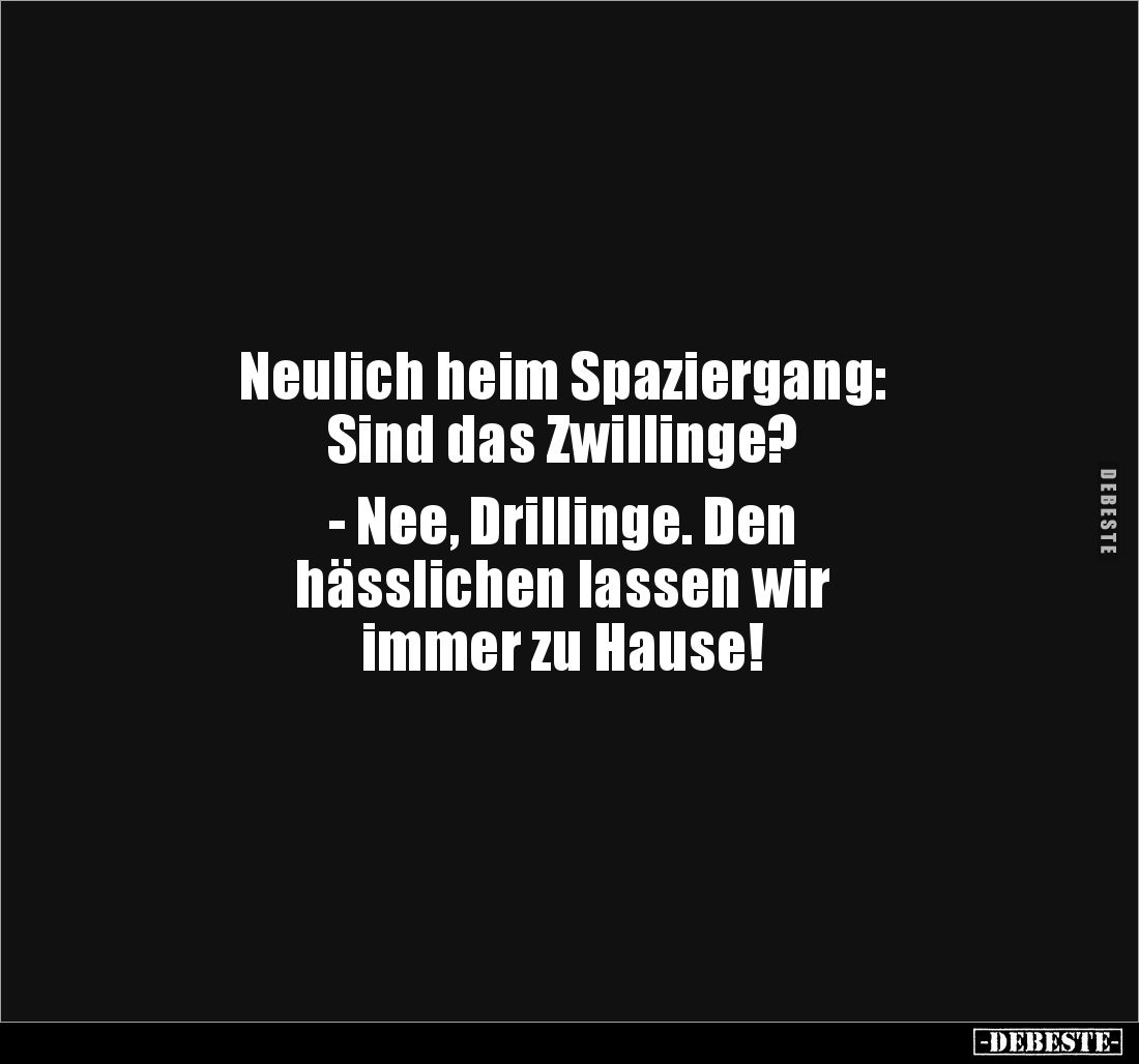 Neulich heim Spaziergang:
Sind das Zwillinge?
- Nee, Drillinge. Den
hässlichen lassen wir
immer zu Hause!