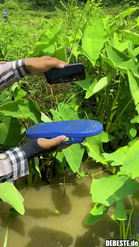 Ein riskanter Versuch, aber ein brillanter Effekt.