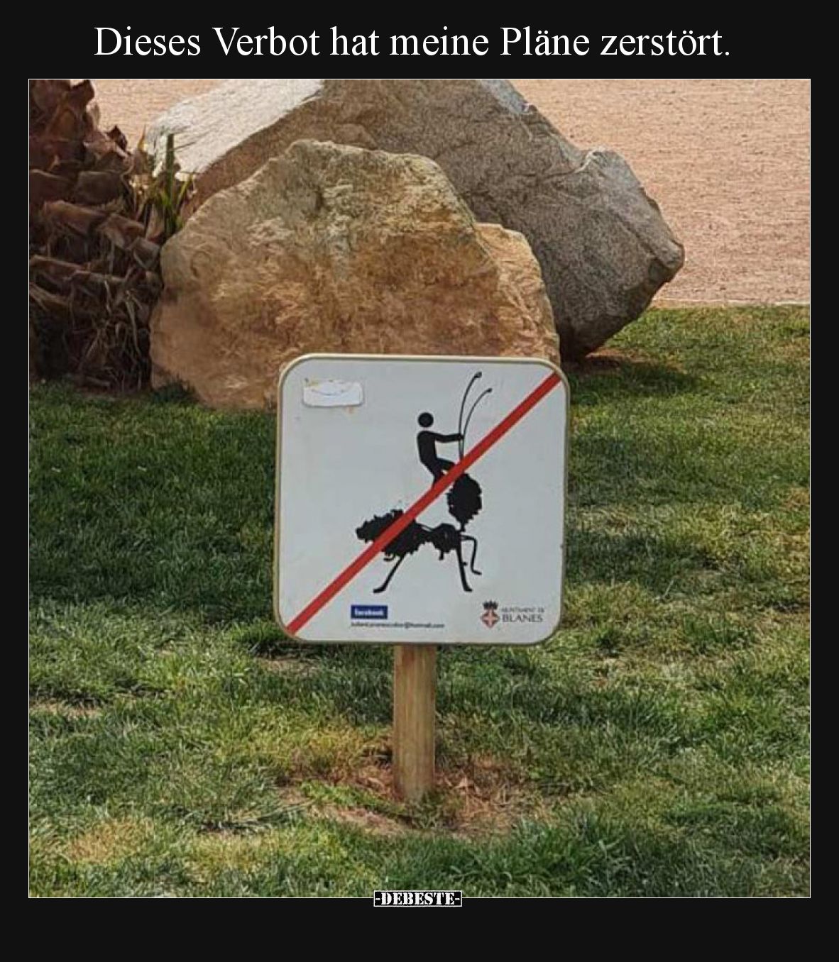 Dieses Verbot hat meine Pläne zerstört... - Lustige Bilder | DEBESTE.de