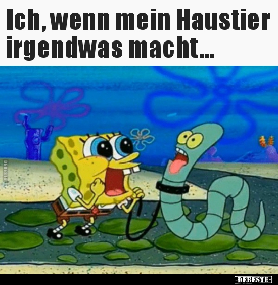 Ich, wenn mein Haustier irgendwas macht...