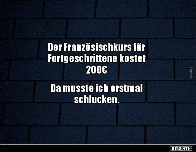 Der Französischkurs für Fortgeschrittene kostet 200€.. - Lustige Bilder | DEBESTE.de